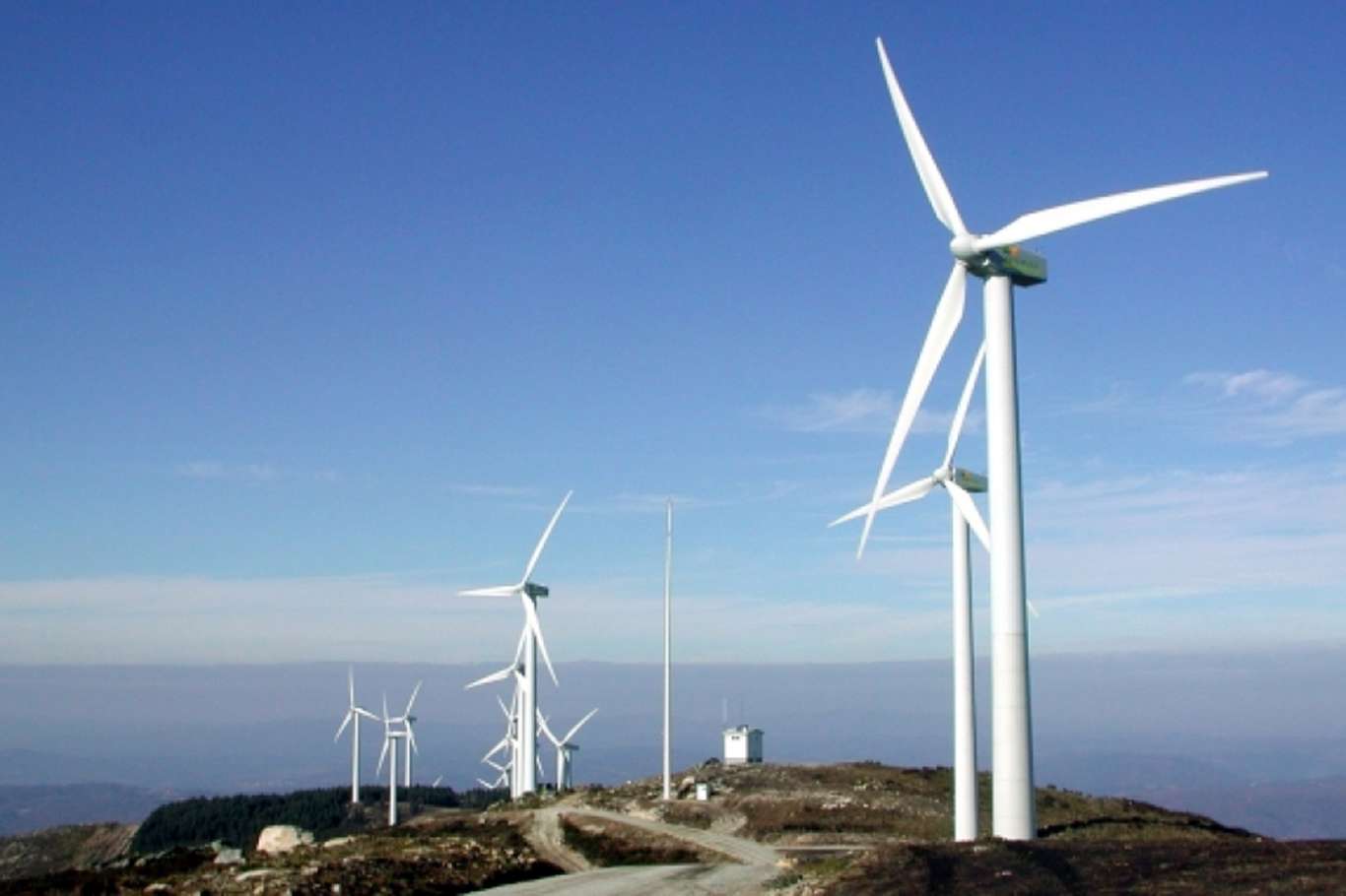Ağrı'ya 75 milyon TL'lik rüzgâr enerji santrali kurulacak Ağrı'ya 75 milyon TL'lik rüzgâr enerji santrali kurulacak